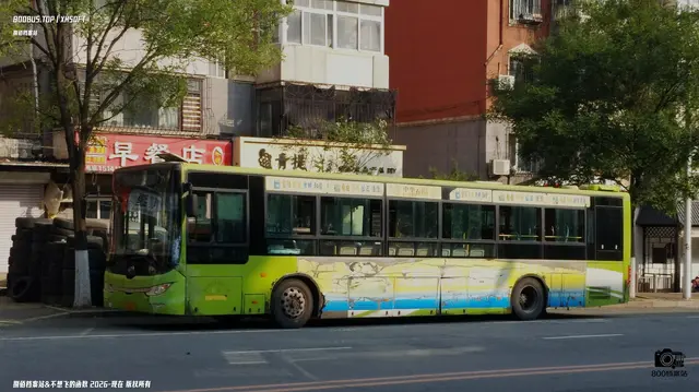 800BUS