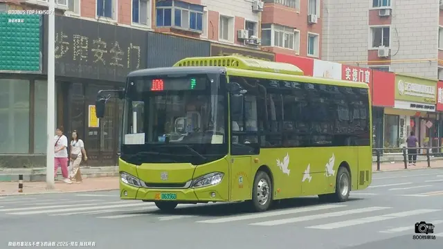 辽C 06356D