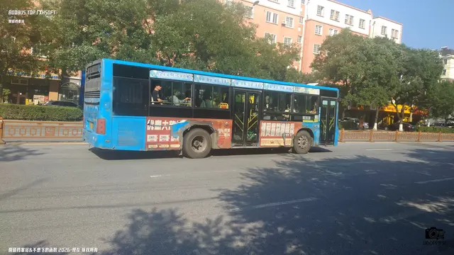 辽C B2410
