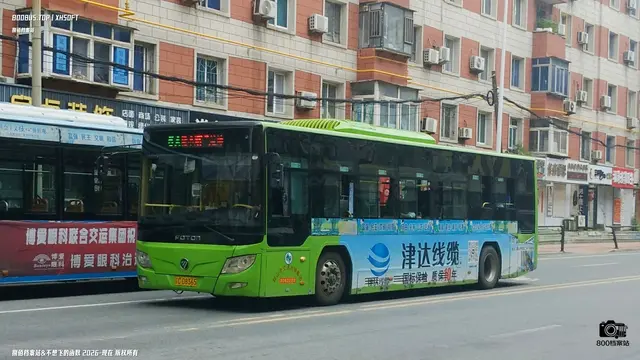 辽C D8365