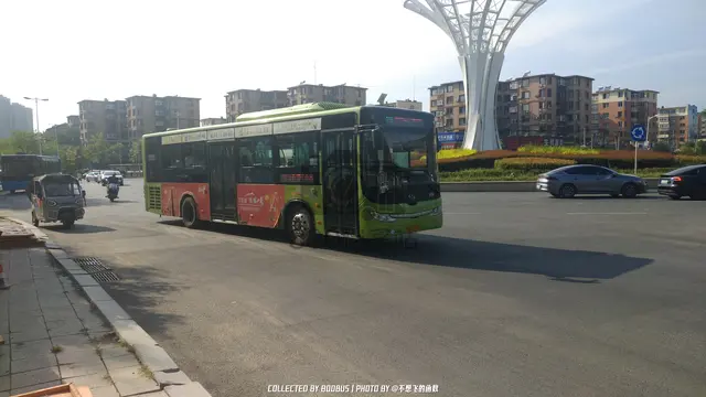 辽C D2667