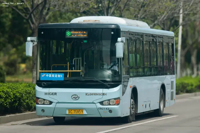800BUS