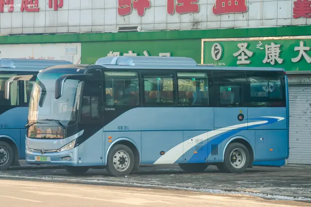 800BUS