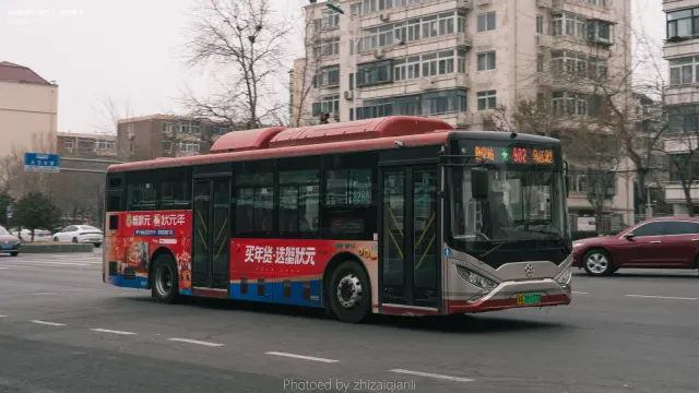 800BUS