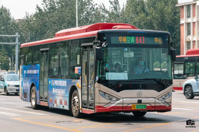 800BUS
