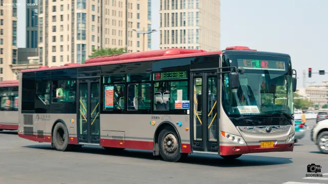 800BUS