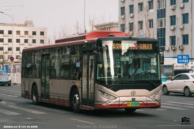 800BUS