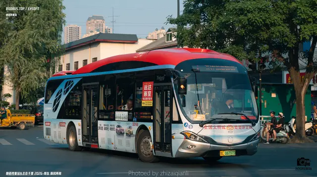 豫C 06797D