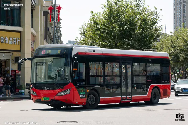 800BUS