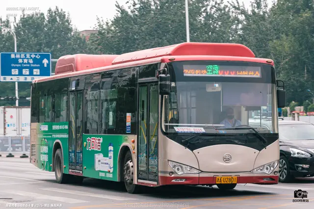 800BUS