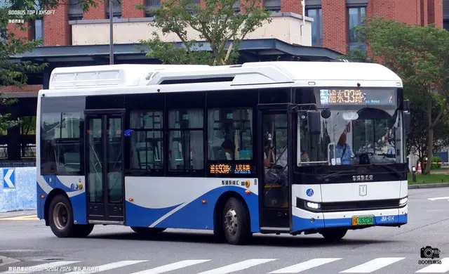 800BUS