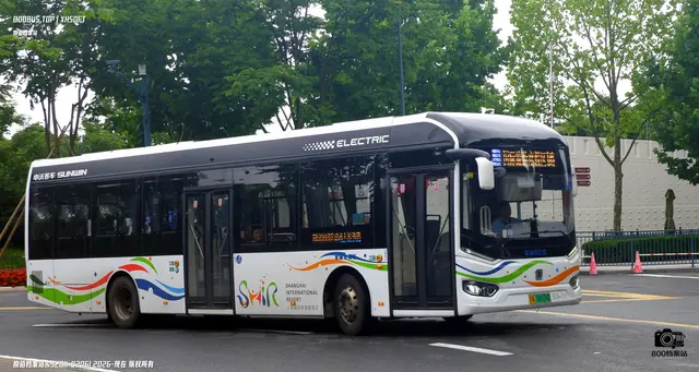 沪A 08924D