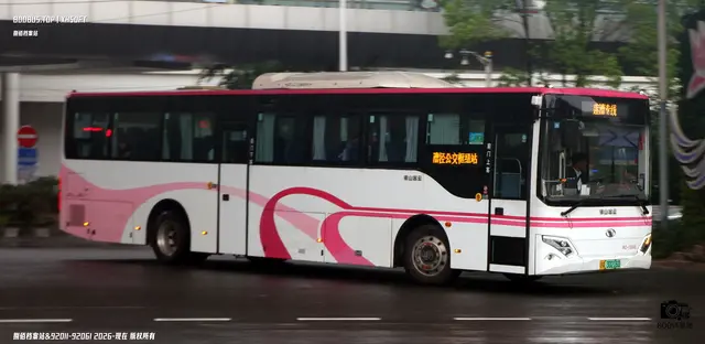 沪A 30216D