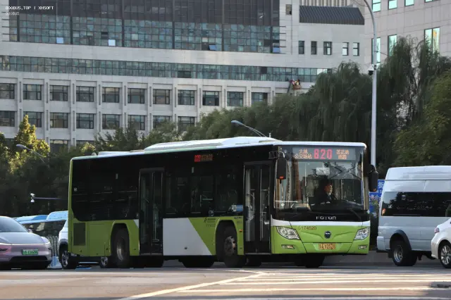 800BUS