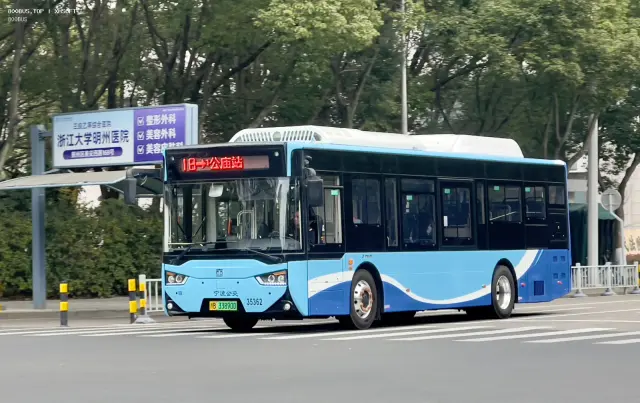 800BUS