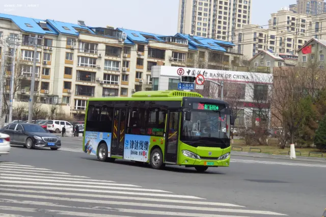 800BUS