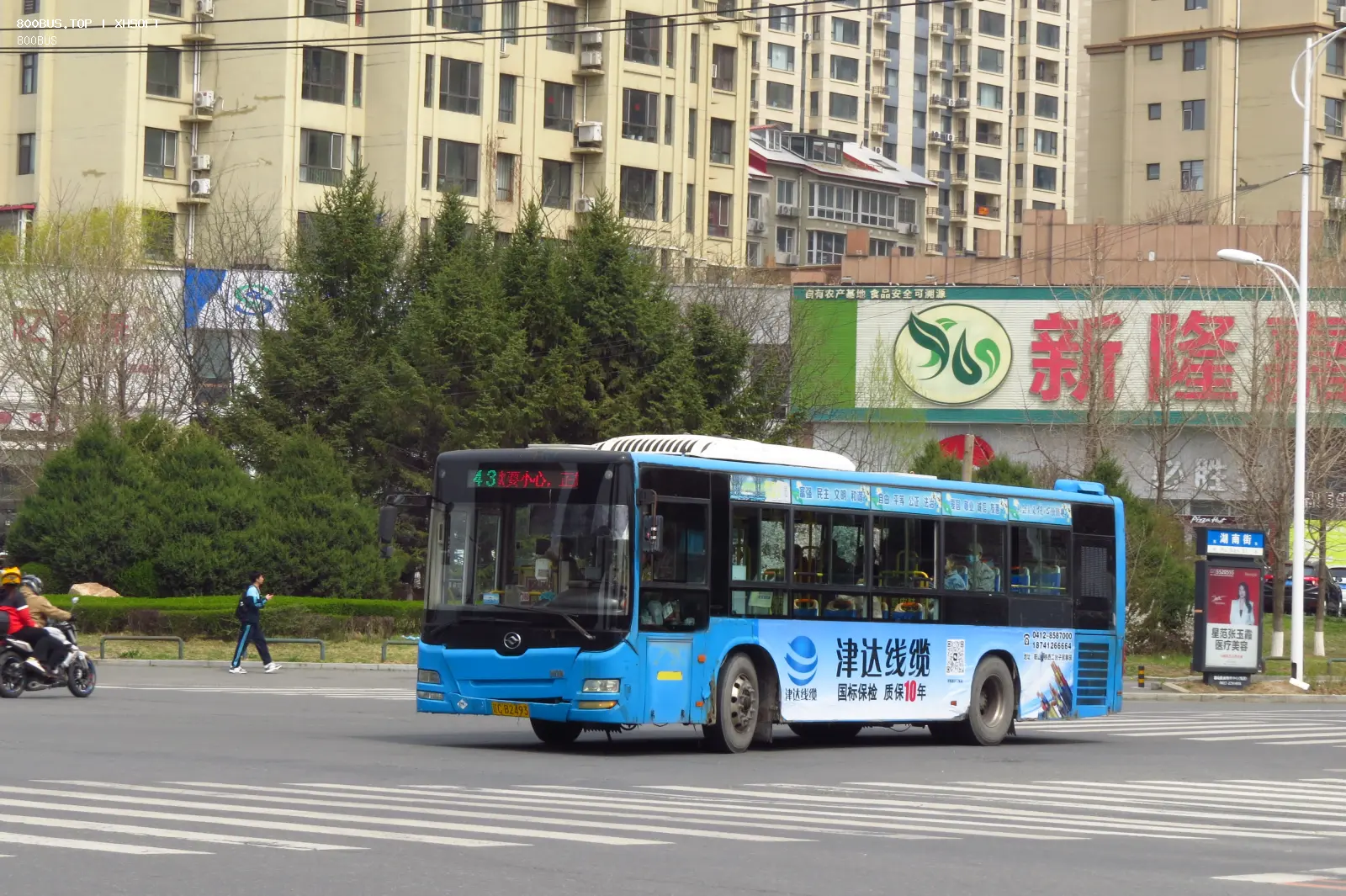 Bus Archive