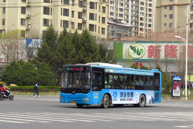 800BUS