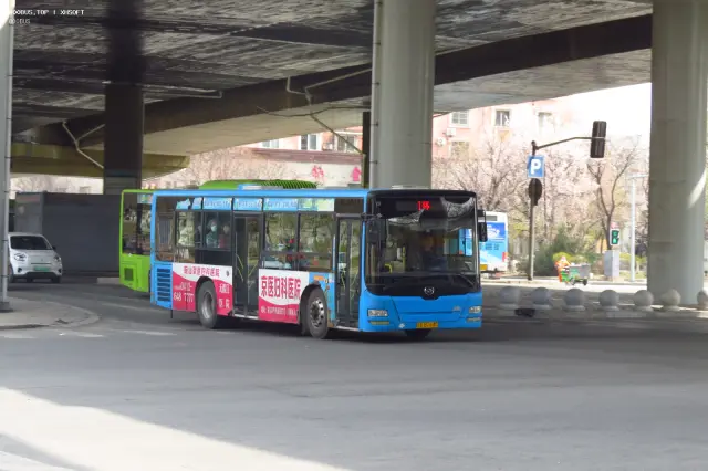 800BUS