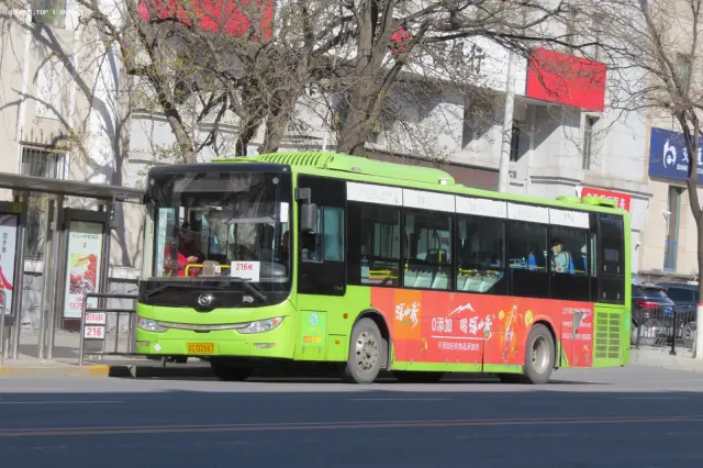 800BUS