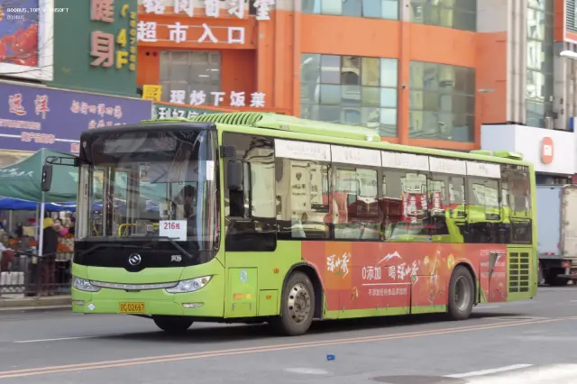 800BUS