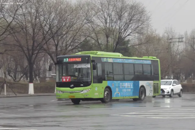 800BUS