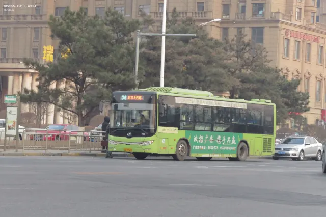 800BUS