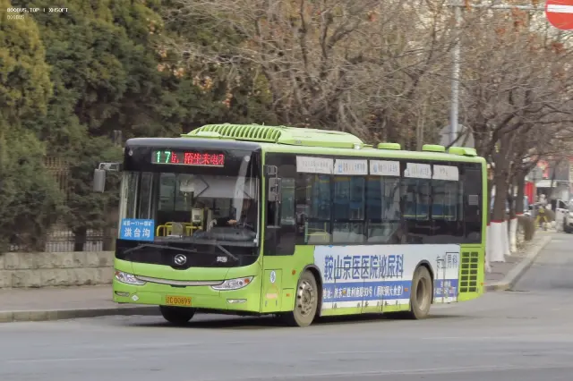 800BUS