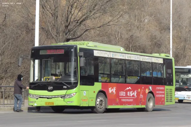 800BUS