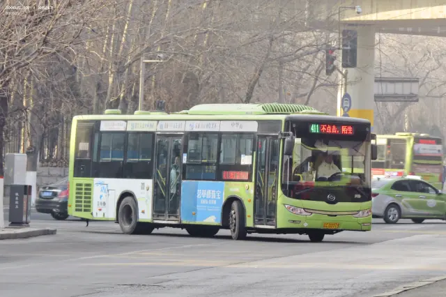 800BUS