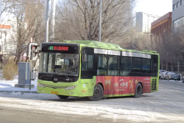 800BUS