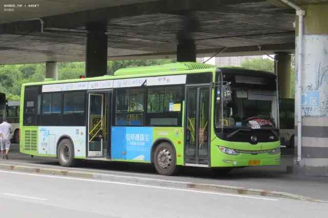 800BUS