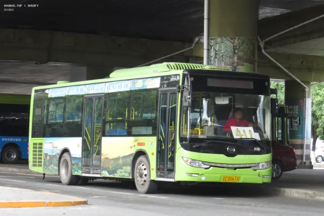 800BUS