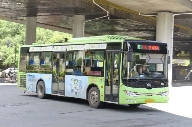 800BUS