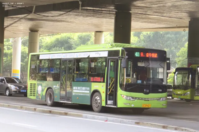 800BUS