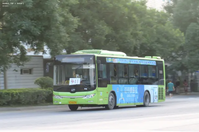 800BUS