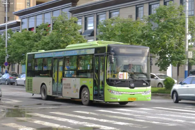 800BUS