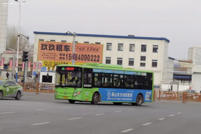 800BUS