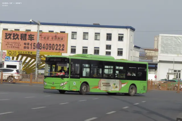 800BUS