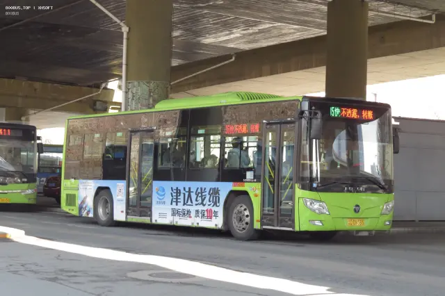 800BUS