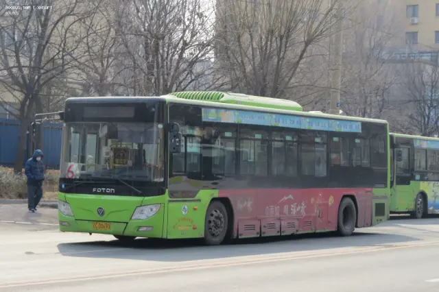 800BUS