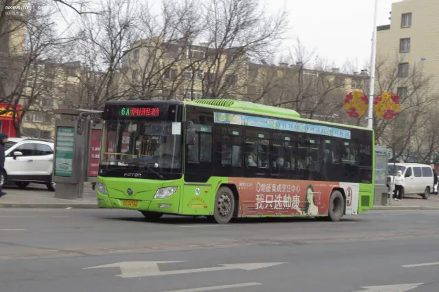 800BUS
