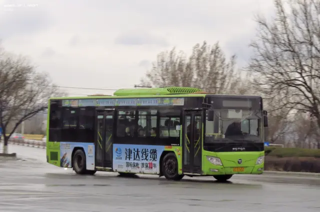 800BUS