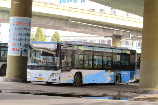 800BUS