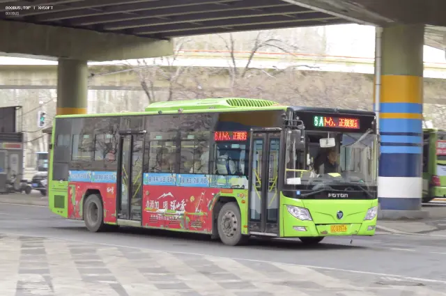 800BUS