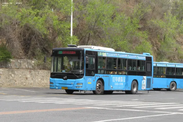 800BUS