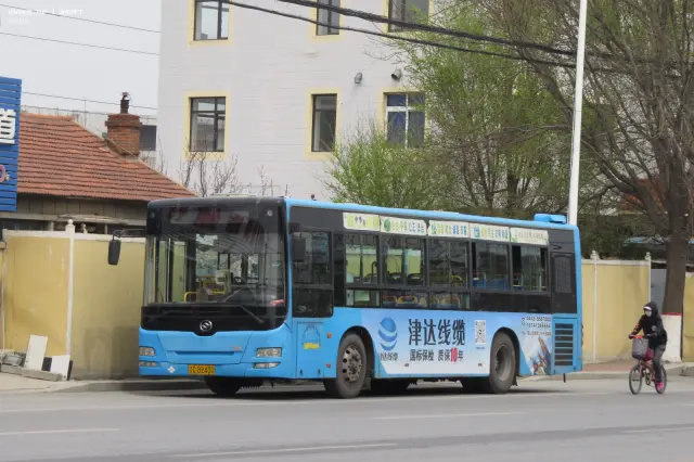 800BUS