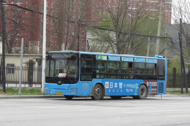 800BUS