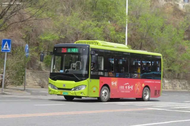 800BUS