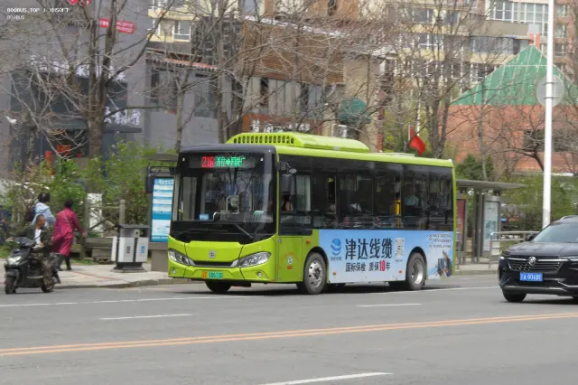 800BUS